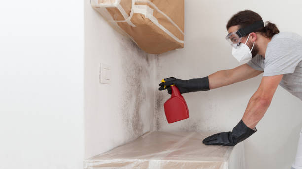 Professional Crawl Space Mold Remediation technician working in Coppell, TX